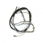 Whirlpool Part# 2001323 Wire Harness (OEM)