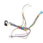 Whirlpool Part# 21001937 Wire Harness (OEM)