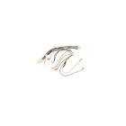 Frigidaire Part# 242081702 Wiring Harness Assembly - Genuine OEM