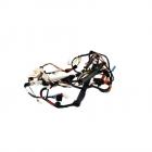 Samsung WF45H6300AG/A2 Main Wire Harness - Genuine OEM
