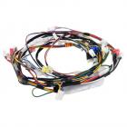 Kenmore 722.14673710 Motor Wire Harness - Genuine OEM