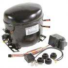 Admiral LTF2112ARB Compressor Assembly - Genuine OEM