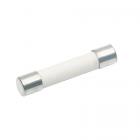 Amana 1011.000 Ceramic Fuse (20 A) - Genuine OEM