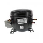 Amana AZC31T22DW00 Compressor - Genuine OEM