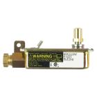 Hardwick CKM9641W589RGC Gas Safety Valve - Genuine OEM