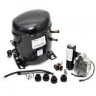 Magic Chef RC22LN-3AW/CS33A Fridge Compressor Genuine OEM
