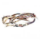 Maytag MDB8979SFZ2 Wiring Harness - Genuine OEM