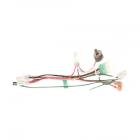 Roper RT14BKXGW02 Wire Harness - Genuine OEM