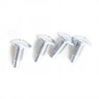 Whirlpool GGW9250PT3 Door Hinge Screw Kit - Genuine OEM