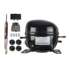 Whirlpool WZF56R16DW04 Fridge Compressor Assembly Genuine OEM