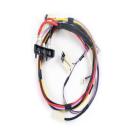 Fisher and Paykel Part# 395145 Main Harness (OEM)