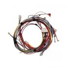 Frigidaire CPEF3081MFF Wiring Harness - Genuine OEM