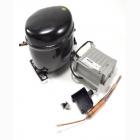 Fisher and Paykel Part# 819652P Compressor (OEM)