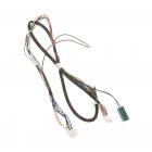 GE DDT575SMF7ES Door Wire Harness - Genuine OEM