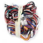 GE GFDS250EF0WW Electronic Wire Harness - Genuine OEM