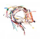 GE JT5500SF2SS Main Wire Harness - Genuine OEM