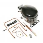 GE PCG21MISAFBB Compressor Kit (R134A) - Genuine OEM