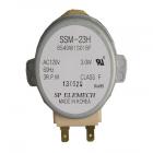 GE PSB9240EF1ES Turntable Motor With Gasket - Genuine OEM