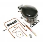 GE RSK25LAPBCCC Compressor Kit (R134A) - Genuine OEM