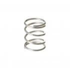 GE WSM2420D0CC Lock Spring - Genuine OEM