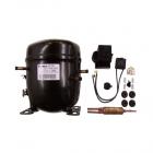 Compressor Kit for Magic Chef CTB1521GRW Refrigerator