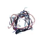 Whirlpool Part# W10141982 Wire Harness (OEM)