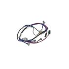 Whirlpool Part# W10167621 Wire Harness Assembly - Genuine OEM