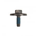 Whirlpool Part# W10826179 Screw (OEM)