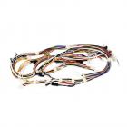 Whirlpool Part# W10834774 Wiring Harness - Genuine OEM