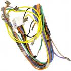 Whirlpool Part# W10884842 Wire Harness - Genuine OEM