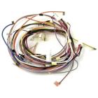 Whirlpool Part# W10911850 Wire Harness - Genuine OEM