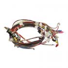 Whirlpool Part# W11028535 Main Wiring Harness - Genuine OEM