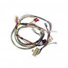 Whirlpool Part# W11100756 Wire Harness (OEM)