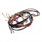 Whirlpool Part# W11241362 Wire Harness - Genuine OEM
