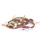 GE Part# WB18X10289 Main Wire Harness - Genuine OEM