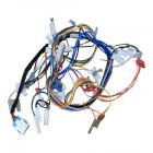 GE Part# WB18X26781 Wire Harness Assembly (OEM)