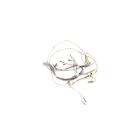 GE Part# WB18X31614 Latch Wire Harness - Genuine OEM
