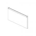 GE Part# WB56X33517 Door Assembly (Stainless Steel) - Genuine OEM