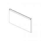 GE Part# WB56X33523 Door Assembly (Stainless Steel) - Genuine OEM