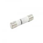 Amana ACM1120AW in-line Fuse - Genuine OEM