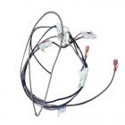 Amana AGR5835QDS Spark Switch Harness - Genuine OEM