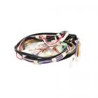 Whirlpool Part# 5171P838-60 Wire Harness (OEM)