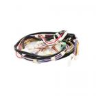 Whirlpool Part# W10113071 Wire Harness (OEM)