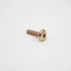 GE Part# WH2X1161 Screw and Washer (OEM)