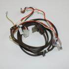 GE Part# WB18T10075 Wire Harness (OEM)