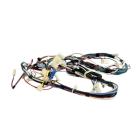 Whirlpool Part# W10706065 Wire Harness (OEM)
