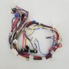 Whirlpool Part# W10845395 Wire Harness (OEM)