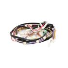 Whirlpool Part# W11218408 Wire Harness (OEM)