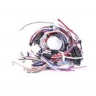 Whirlpool Part# W10450289 Wire Harness (OEM)