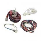 Whirlpool Part# W11096548 Wire Harness (OEM)